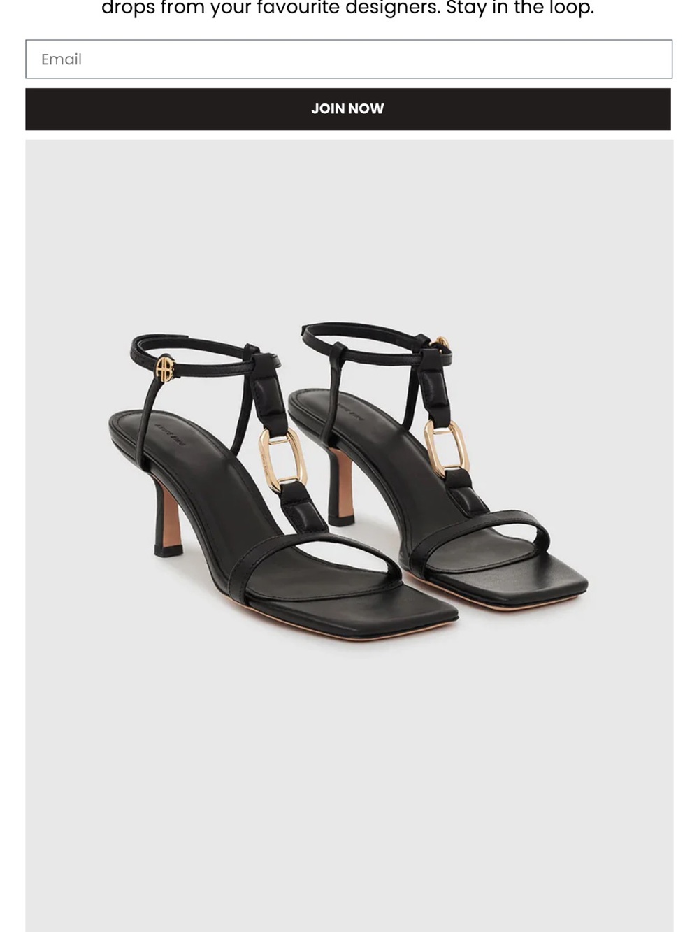 Anine Bing Black Leather T-Strap Mid-Heel Sandals with Gold Hardware